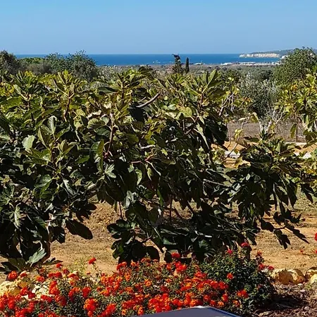 Alojamento de Acomodação e Pequeno-almoço Monte Da Saudade *