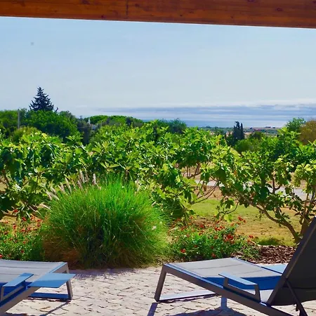 Monte Da Saudade Bed & Breakfast Sesmarias